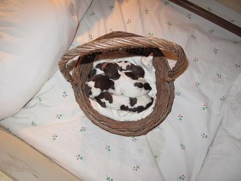 20111113-185910.jpg